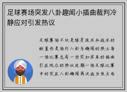 足球赛场突发八卦趣闻小插曲裁判冷静应对引发热议